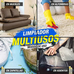ESPUMA LIMPIADORA MULTIUSOS 2X1    $36